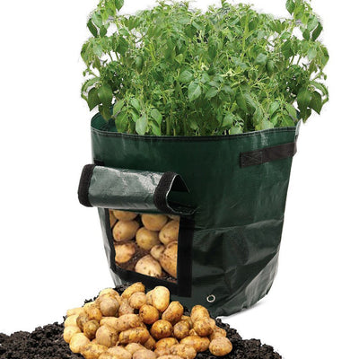 PE Garden Planting bag