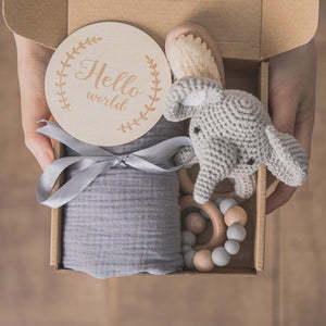 Baby Teething Gift Set