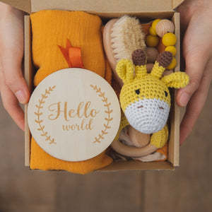 Baby Teething Gift Set