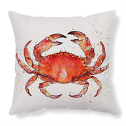 Throw Pillow Cases