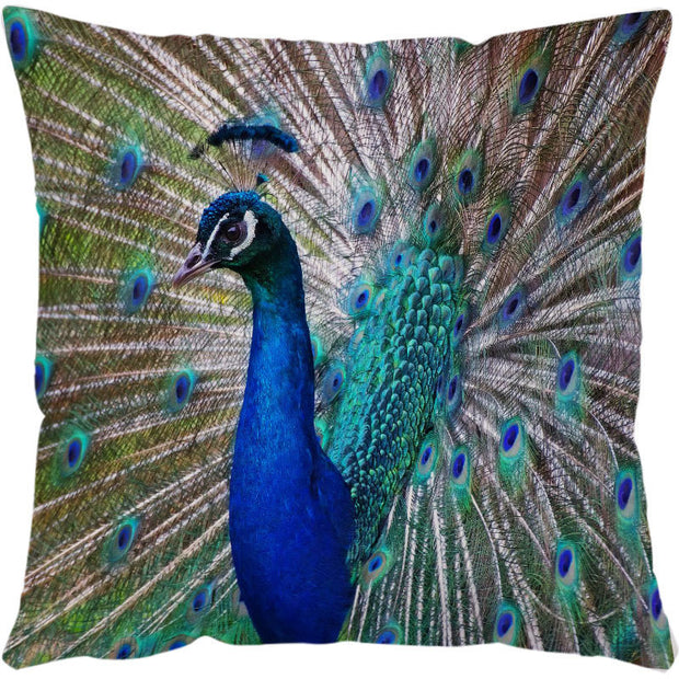 Throw Pillow Cases